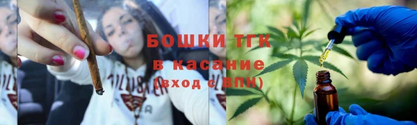 шишки Володарск